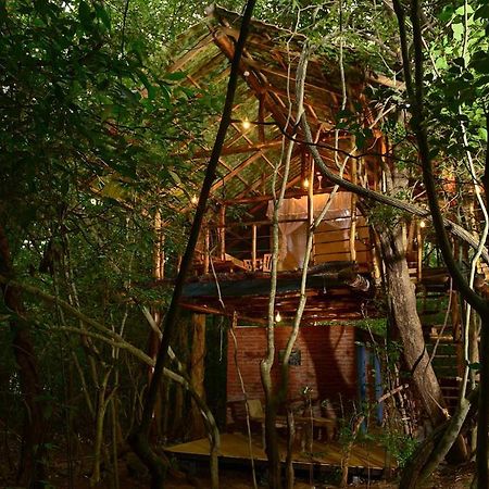 Back Of Beyond - Pidurangala Vila Sigiriya Exterior foto