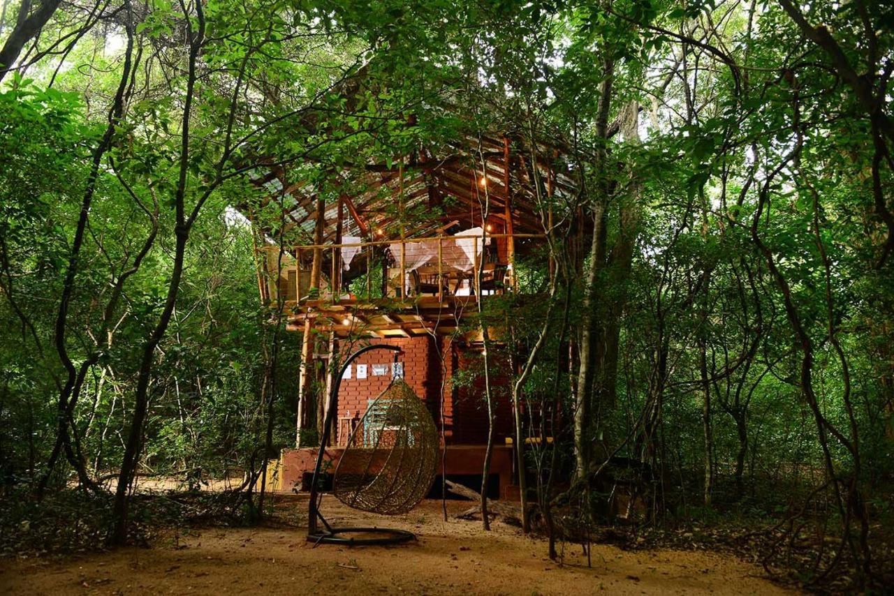 Back Of Beyond - Pidurangala Vila Sigiriya Exterior foto