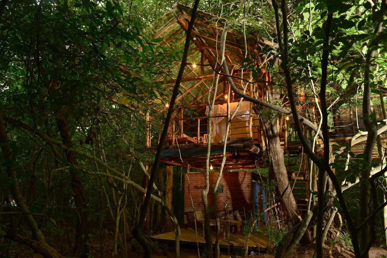 Back Of Beyond - Pidurangala Vila Sigiriya Exterior foto