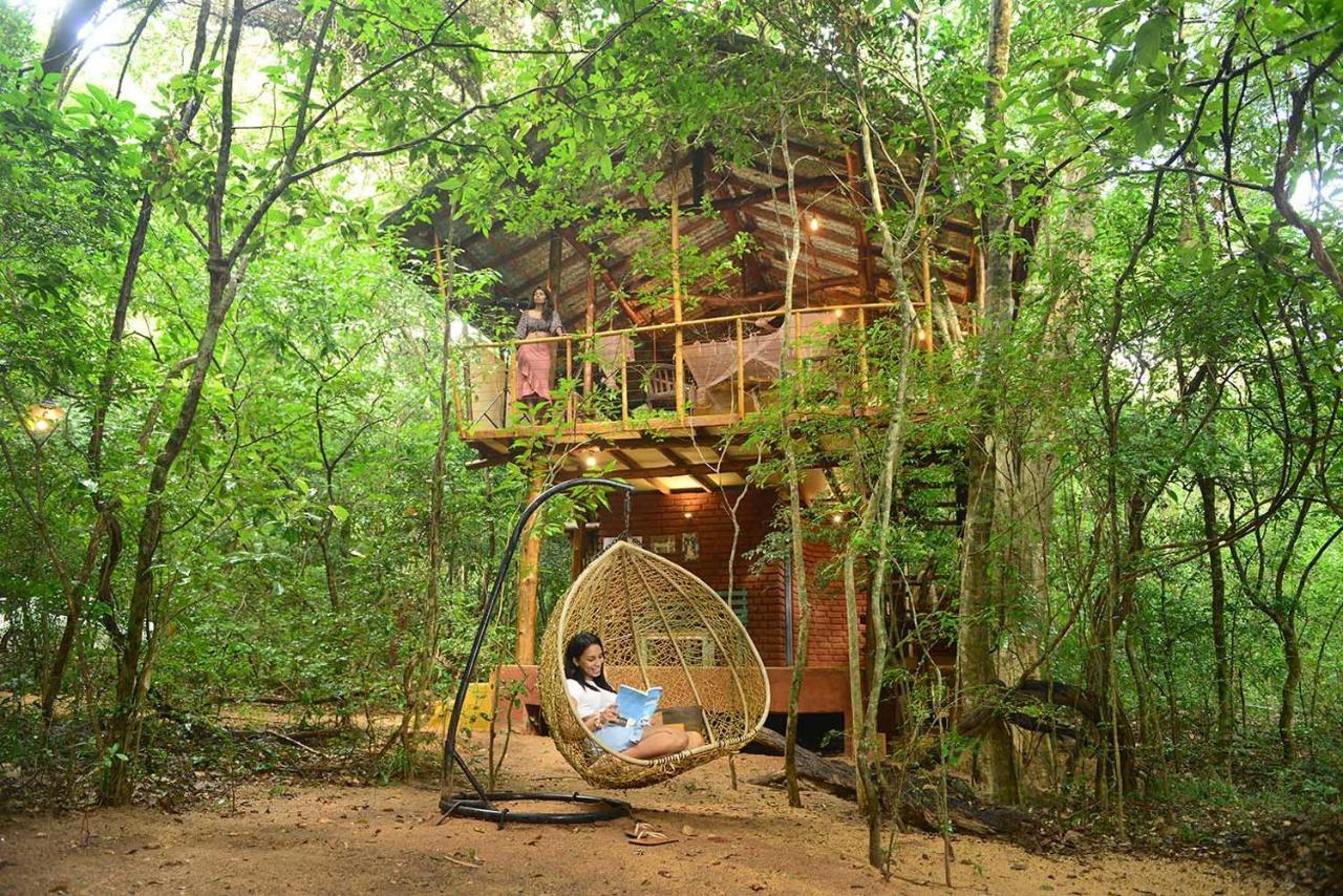 Back Of Beyond - Pidurangala Vila Sigiriya Exterior foto