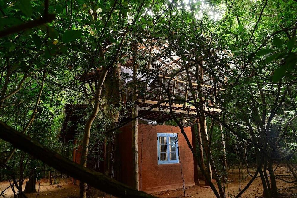 Back Of Beyond - Pidurangala Vila Sigiriya Exterior foto