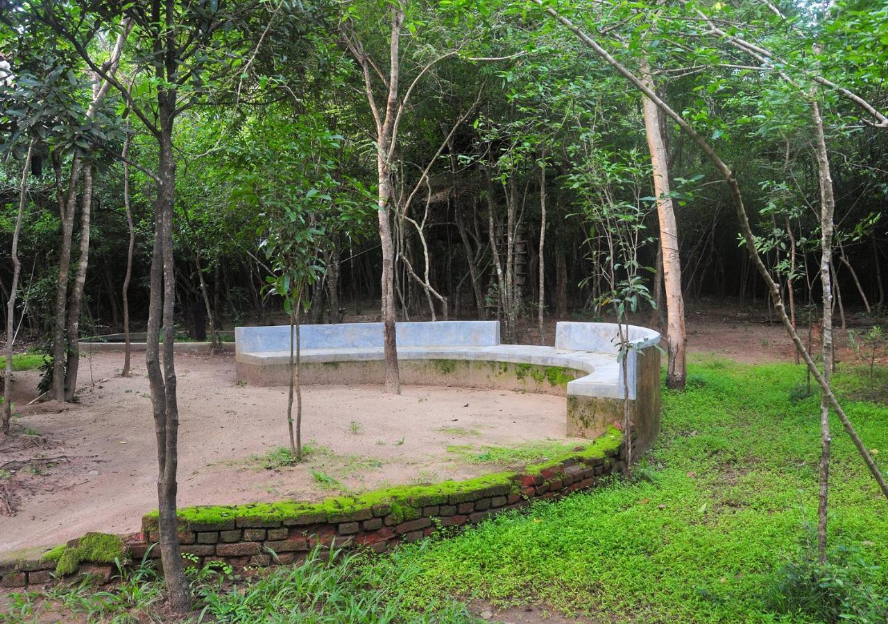Back Of Beyond - Pidurangala Vila Sigiriya Exterior foto