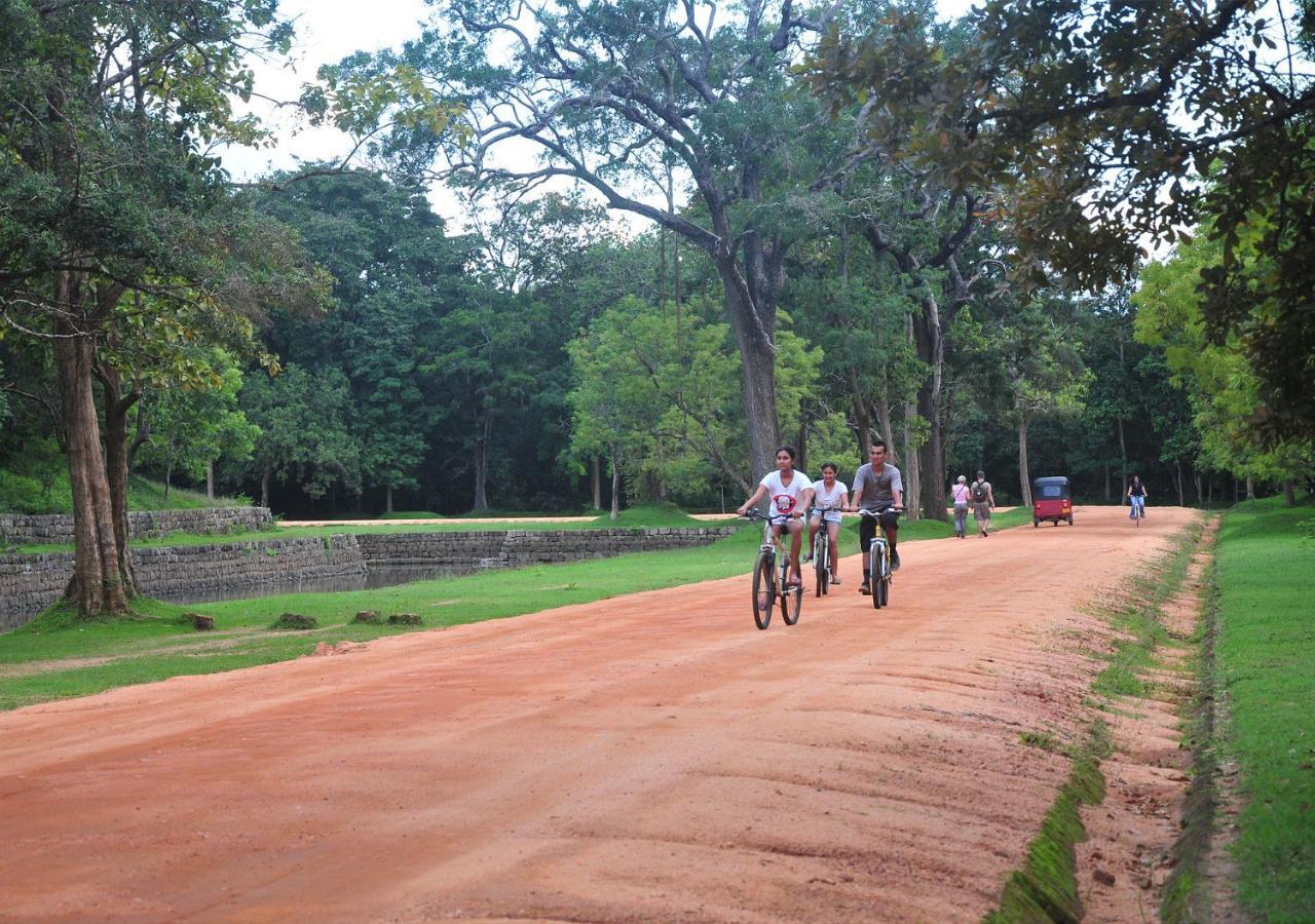 Back Of Beyond - Pidurangala Vila Sigiriya Exterior foto